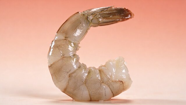 Fresh Raw Peeled Shrimp with Tail On a Prime Ingredient for Healthy Seafood Cuisine