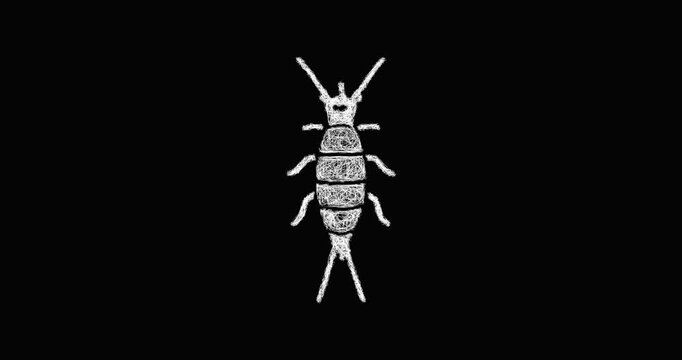 Sketch silverfish icon animation - smooth progressive reveal