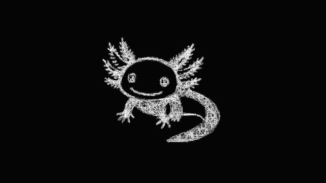 Sketch Axolotl icon animation - smooth progressive reveal