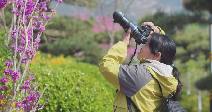 Chinese seniors take photos of flowers in spring.