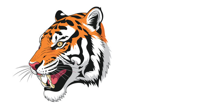 Detailed illustration of a tiger head showing sharp teeth and intense eyes against a white background for mascot design.