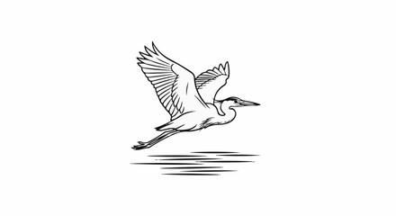 Obraz premium Line art sketch of a heron in flight over water