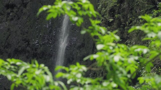 Waterfall at Levada do Caldeirao Verde, Madeira island, Portugal