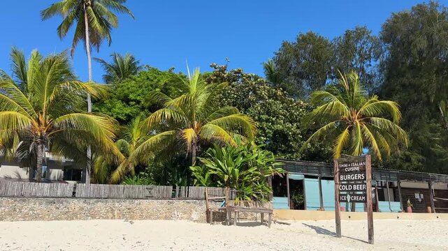 Tropical Palm Trees Swaying Over White Sand on Paje Beach Zanzibar Tanzania Indian Ocean Coast