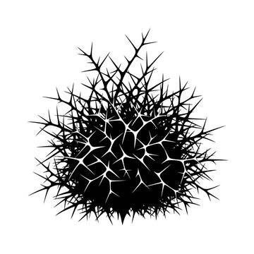 Black and White Vector Silhouette of a Thorny Tumbleweed Bush or Spiky Bramble Isolated on White Background