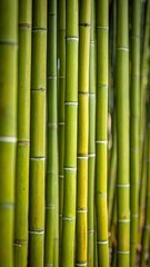 Fototapeta premium A close-up view of a dense grove of vibrant green bamboo stalks.
