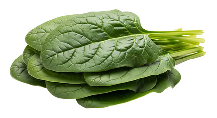 Fototapeta premium A bunch of fresh spinach leaves PNG isolated on transparent background