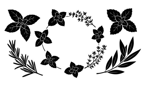 Herb and spice leaves silhouette wreath vector set with basil mint thyme rosemary and bay decorative frame
