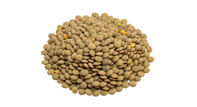 A pile of brown lentils PNG isolated on transparent background