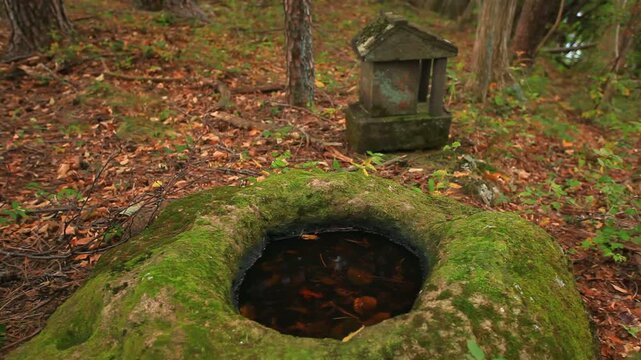 尻高城跡の本郭跡の礎石と祠