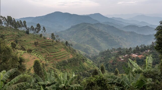 Vast mountainous landscape showcasing integrated agroforestry systems with terraced fields and scattered villages.