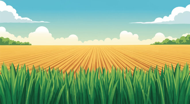 Wide-angle vector illustration of a golden agricultural wheat field with tilled furrows under a blue sky with fluffy white clouds, green grass in foreground, and distant trees.