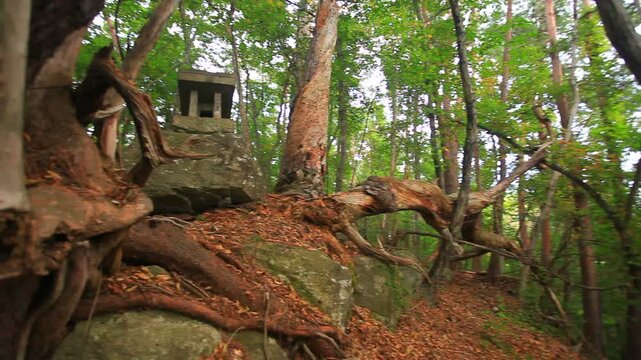 尻高城跡の三の郭入口の石宮