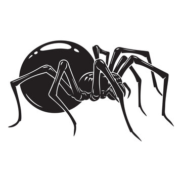 A detailed black silhouette illustration of a dangerous black widow spider, characterized by its rounded abdomen and eight long, slender legs, isolated on a clean white background.