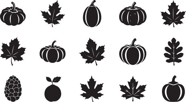 Autumn icons including pumpkins and leaves silhouette