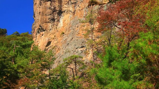 仰ぎ岩の岩壁