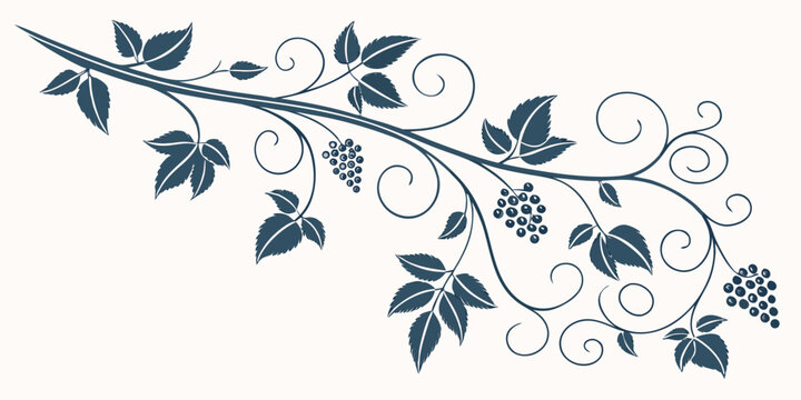 Decorative grapevine branch with clusters and swirls grapevine botanical decoration ornament illustration silhouette background isolated decorative detailing agriculture