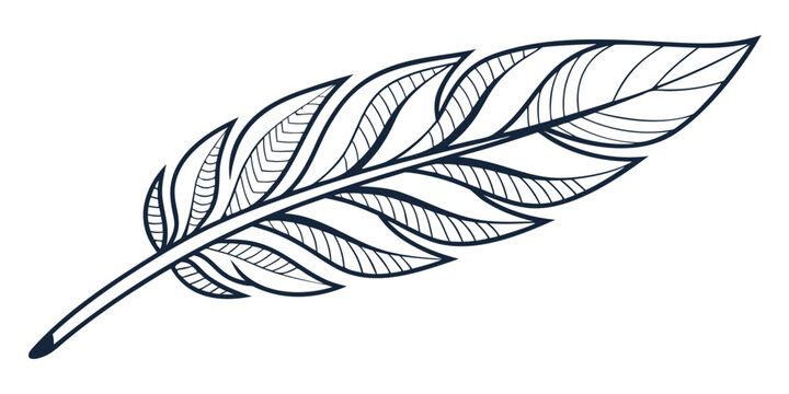 Hand drawn decorative feather illustration in black outline style with illustration decorative stylized ornament detailed isolated artistic creative minimalist abstract