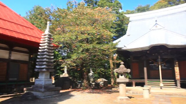 真田信利献上の石灯籠と三光院本堂