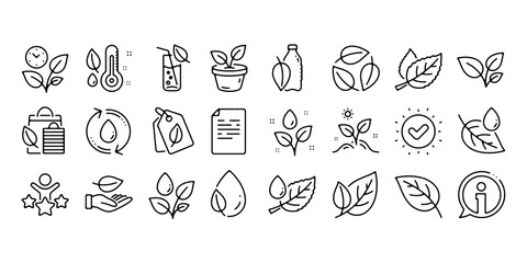 Mint leaf, Growing plants and Humidity thermometer icons. Plants line icons. Bottle with mint water, Nature care, leaf on hand. Gardening new flower, environment and thermometer. Vector Illustration. © IconSade