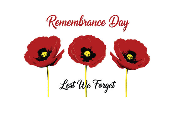 Remembrance day poppy flowers lest we forget a tribute to veterans