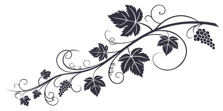 Grapevine branch with leaves and clusters of grapes decorative vector black and white grapevine decoration ornament botanical decorative illustration isolated stylized