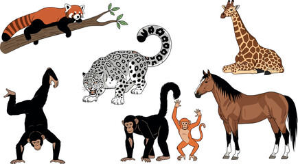 Wild animals collection including monkey giraffe horse leopard and red panda in cartoon style isolated vector illustration set © Rubya