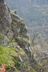 majestic mountains rocky slopes vegetation light haze nature spring © Владимир Берлизов