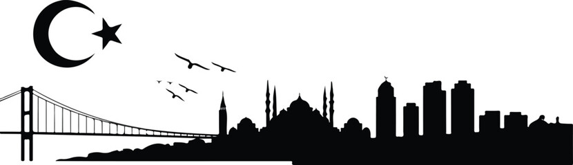 Minimalist black and white Istanbul skyline silhouette featuring Blue Mosque domes minarets and Bosphorus Bridge with flying birds composition © Mehg