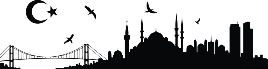 Minimalist black and white Istanbul skyline silhouette featuring Blue Mosque domes minarets and Bosphorus Bridge with flying birds composition © Mehg