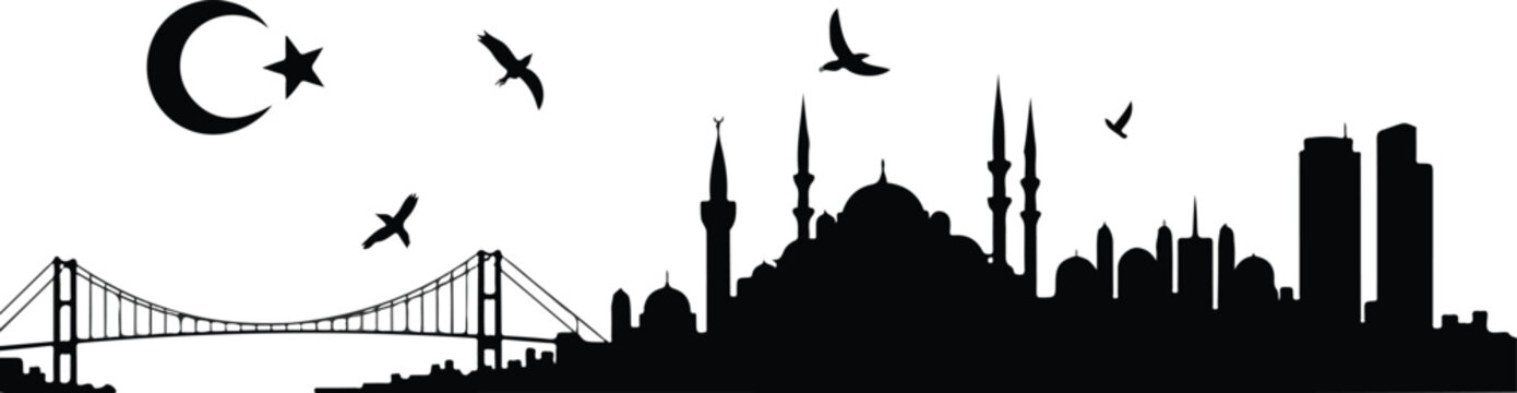 Minimalist black and white Istanbul skyline silhouette featuring Blue Mosque domes minarets and Bosphorus Bridge with flying birds composition