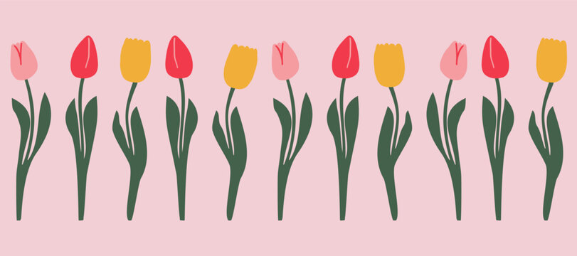 Seamless floral border with tulips. Vector color flower border. Good for postcards, covers, decoration and textile