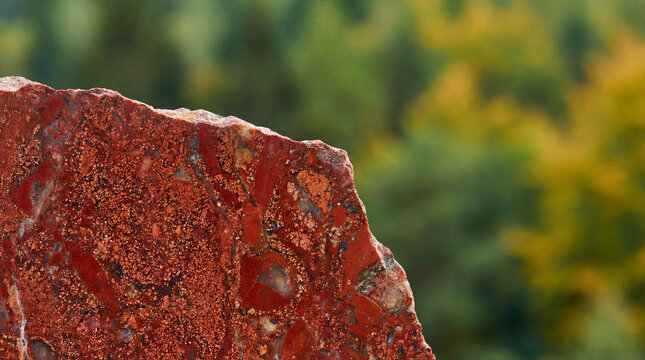 Close-up of a textured red jasper stone with a blurred green forest background