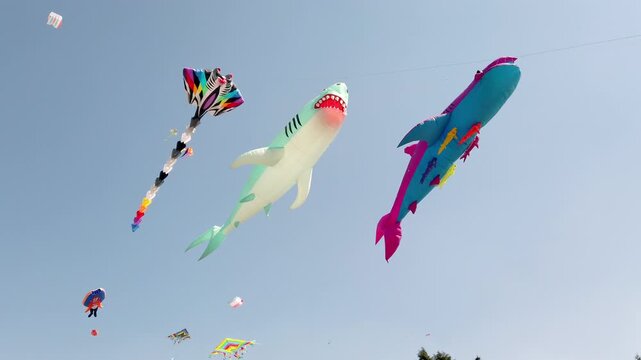 Kites flying in clear sky with large shark shaped inflatables during festival showing colorful shapes motion and celebration atmosphere in outdoor setting with bright daylight