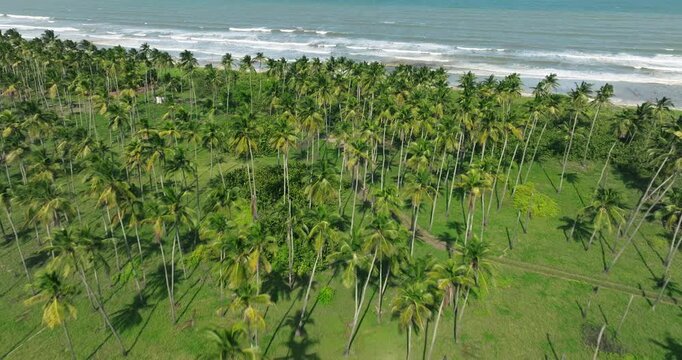 Lush Palm-fringed Beaches Of Morrocoy National Park In Venezuela. Aerial Pullback Shot