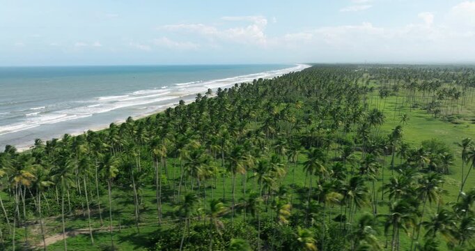 Palm-Fringed Tropical Beaches Of Morrocoy National Park In Venezuela. Aerial Drone Shot