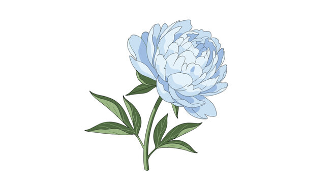 A delicate light blue chrysanthemum flower with lush green leaves, perfect for spring floral designs and nature backgrounds.