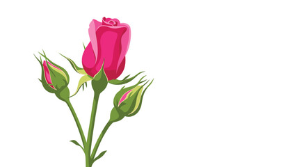 Fototapeta premium Beautiful pink rosebuds on green stems, perfect for romantic occasions and spring celebrations.