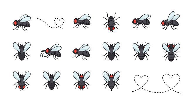 Collection of cartoon house flies in various poses, some with dotted heart-shaped flight paths, on a white background, illustrating insect movement and pests.