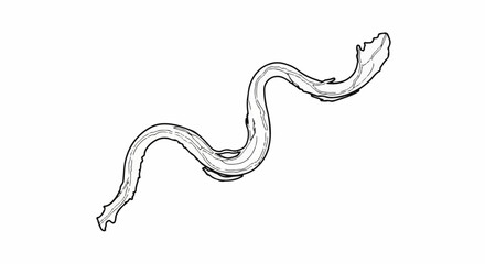 Fototapeta premium Organic, flowing, wavy branch or root illustration with textured detail