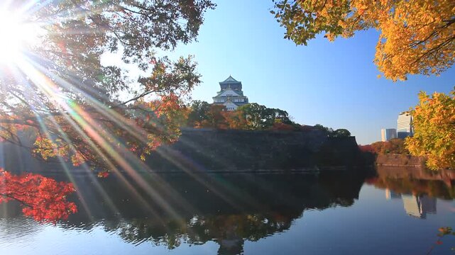 大阪城と紅葉と木もれ日と内濠