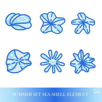 Seashell Summer set