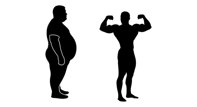 Comparison of body composition between an overweight and a muscular individual Vector, illustration