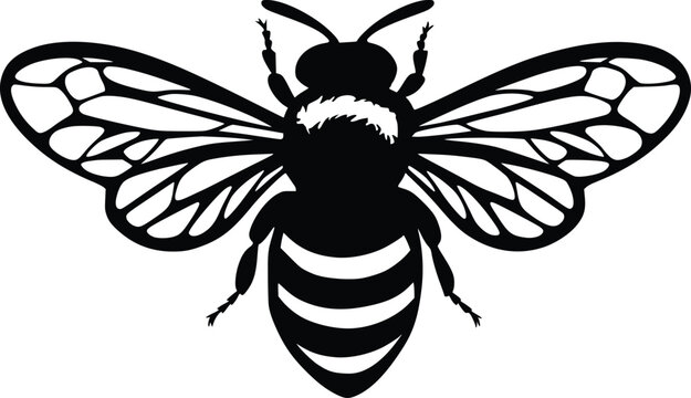 Honey Bee Silhouette Vector Set Black Bumble Bee Icon Collection Clipart