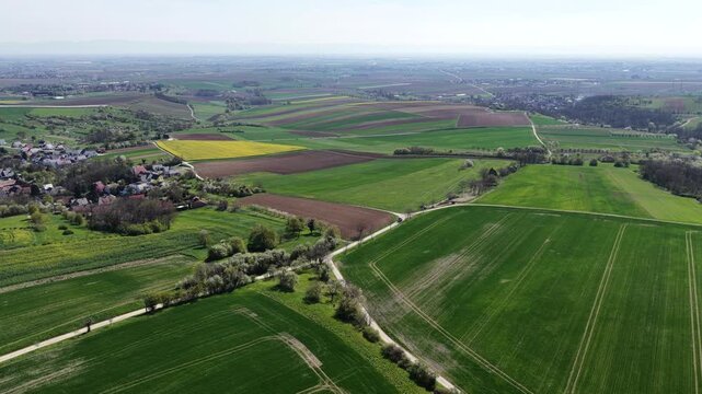 Aerial view of vibrant agricultural fields showcasing a patchwork of green, brown, and yellow crops, interspersed with roads, Wintzenheim-Kochersberg, Grand Est, France.