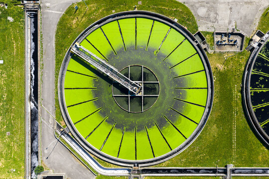 Aerial view of a circular water treatment tank with bright green algae and a rotating bridge at an industrial facility in Prato, Tuscany, Italy.