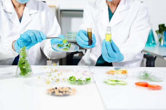Cosmetic lab testing skincare products with natural ingredients, advanced science, and clean beauty innovation