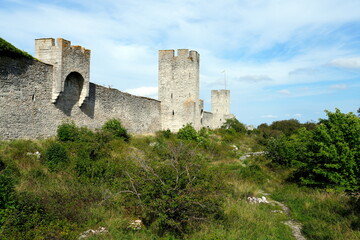 Fototapeta premium Stadtmauer Visby, Mauer, mittelalterlich, Stadtbefestigung, Visby, Stadttor, Wahrzeichen, Ostseite, Hansestadt Visby, Ostseeinsel Gotland, Schweden, Turm, Landschaft, green, Pfad