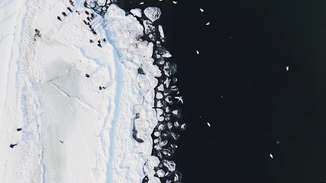 Aerial view of the Baltic sea with ice formations along the shoreline contrasting with dark water and people, Sopot, pomorskie, Poland.