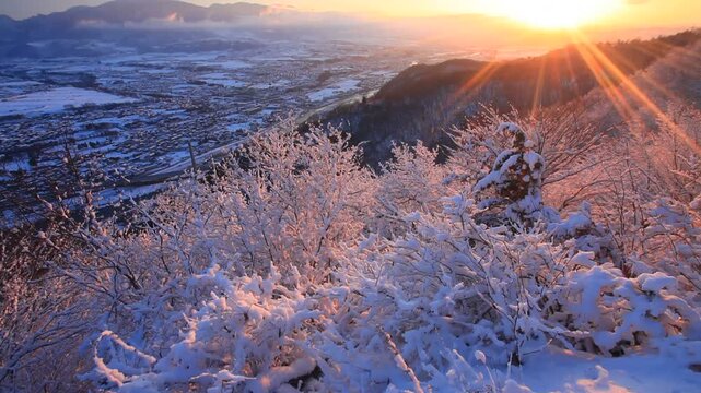 小牧城から望む着雪した樹林と烏帽子岳などの山並みと朝日